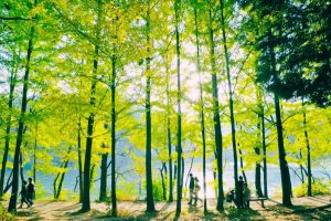 du lịch Hàn Quốc